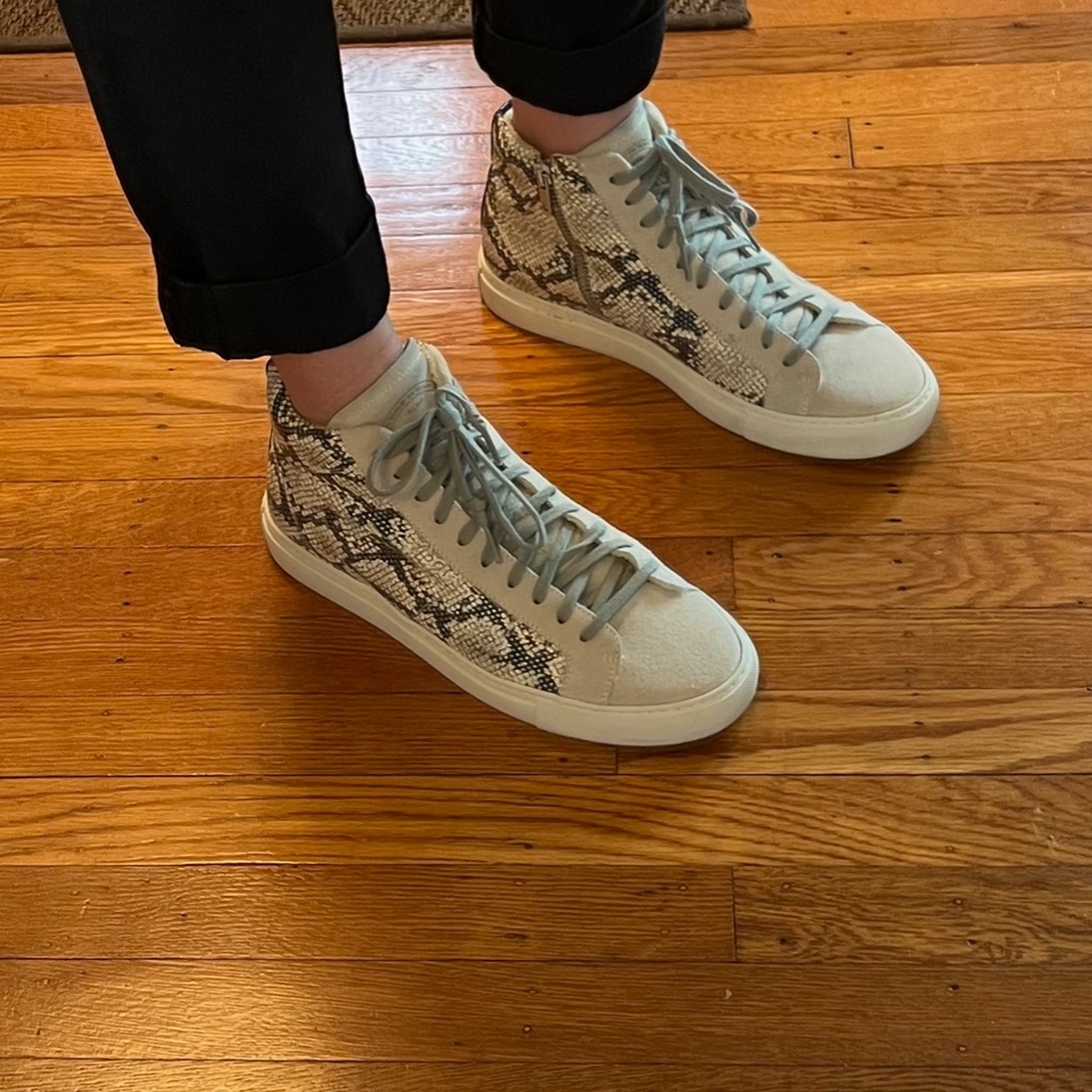 P448 Star High Top Sneaker - Picture 4 of 14